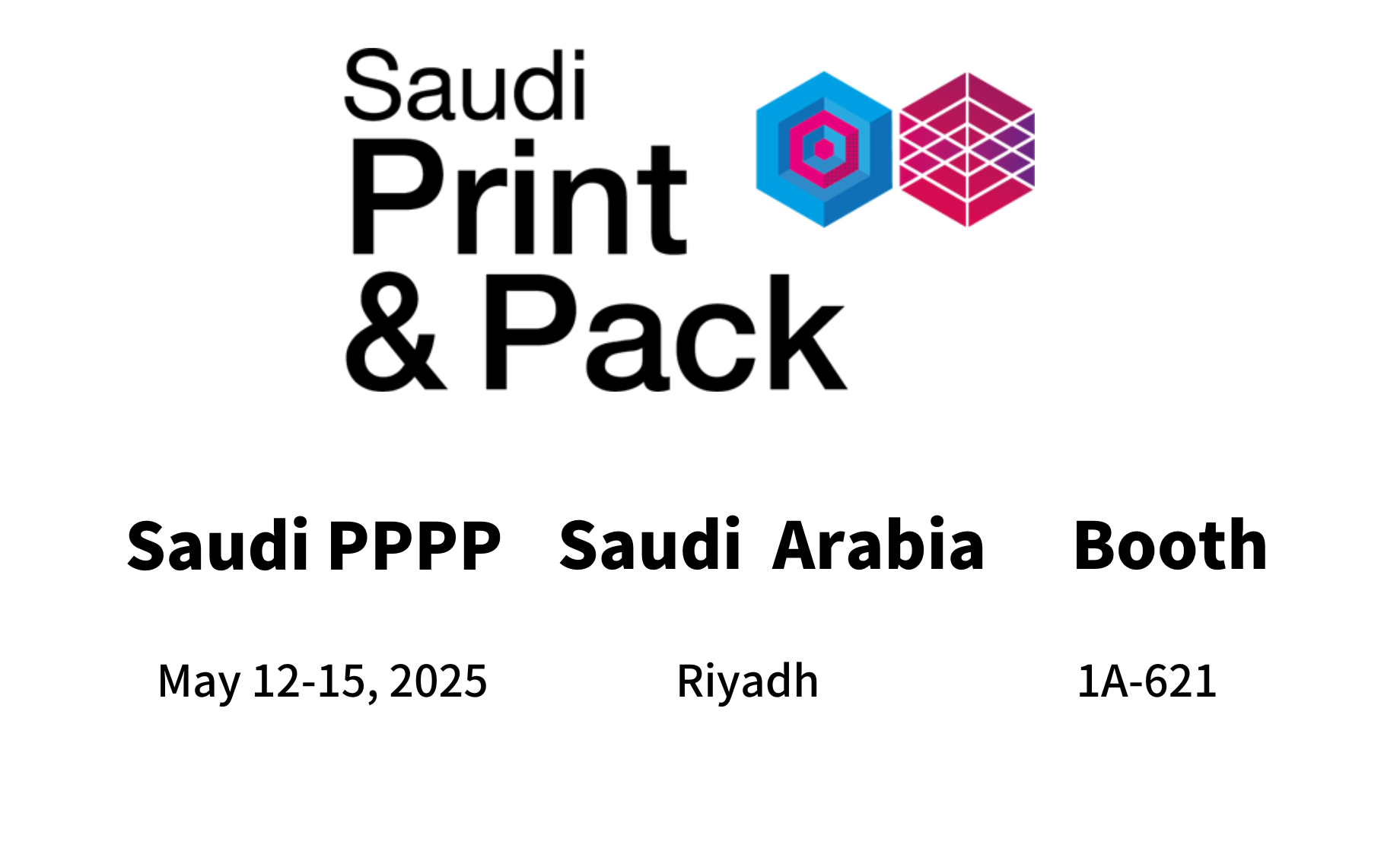 Saudi PPPP 2025
